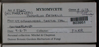 Image Associated With the Occurence